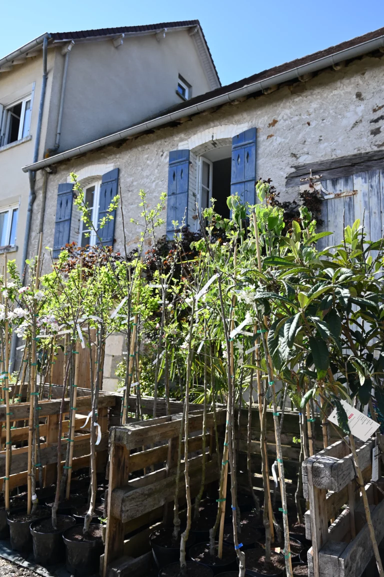 la grange fleurie la coquille horticulteur 16 768x1154
