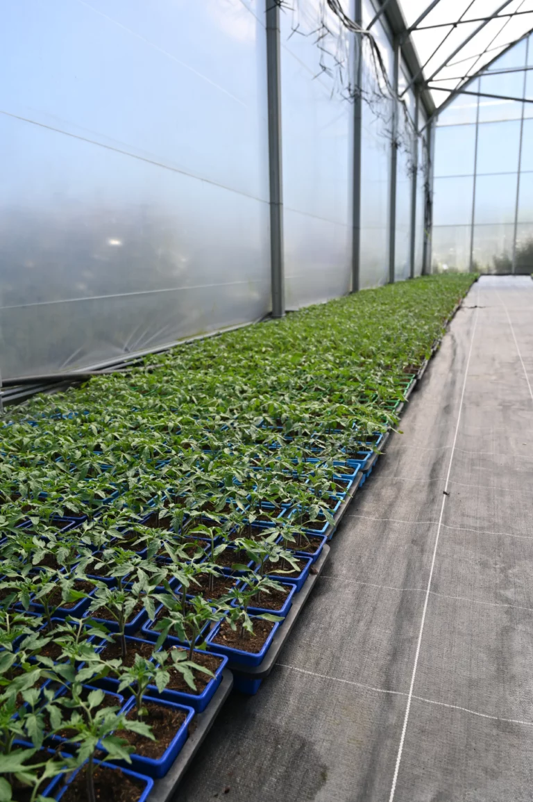 la grange fleurie la coquille horticulteur 24 768x1154