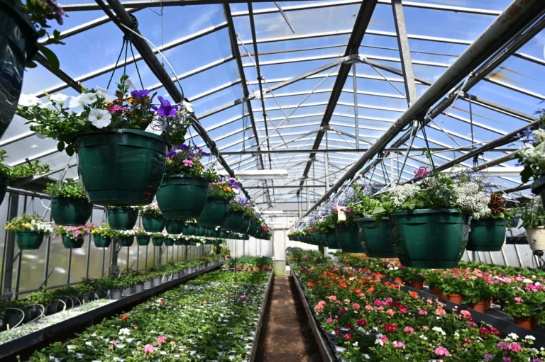 la grange fleurie la coquille horticulteur 27 768x511