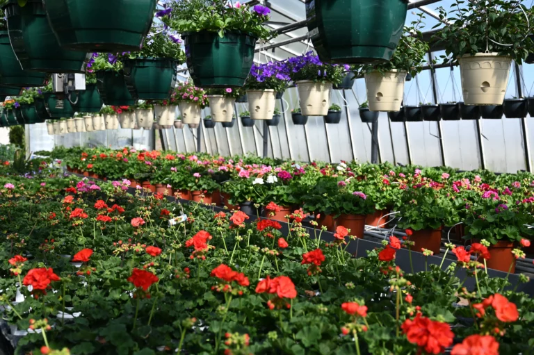 la grange fleurie la coquille horticulteur 28 768x511