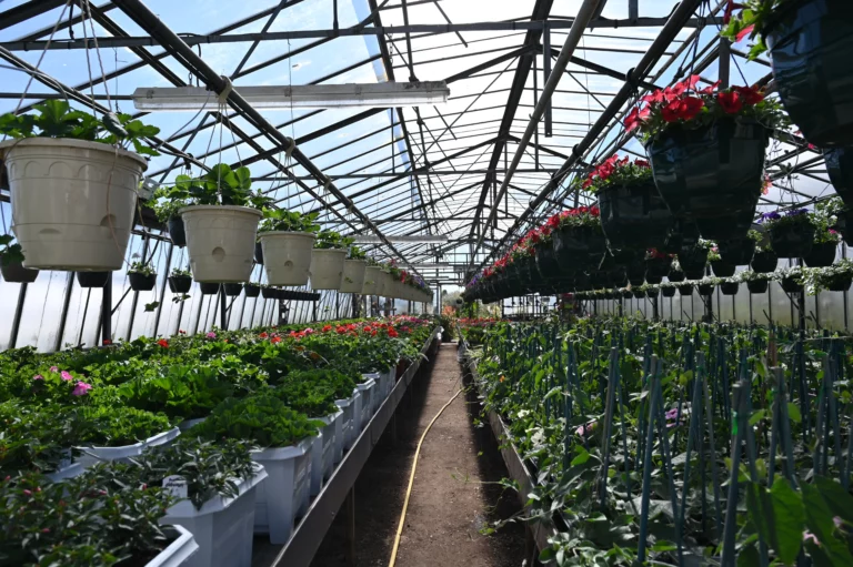 la grange fleurie la coquille horticulteur 30 768x511