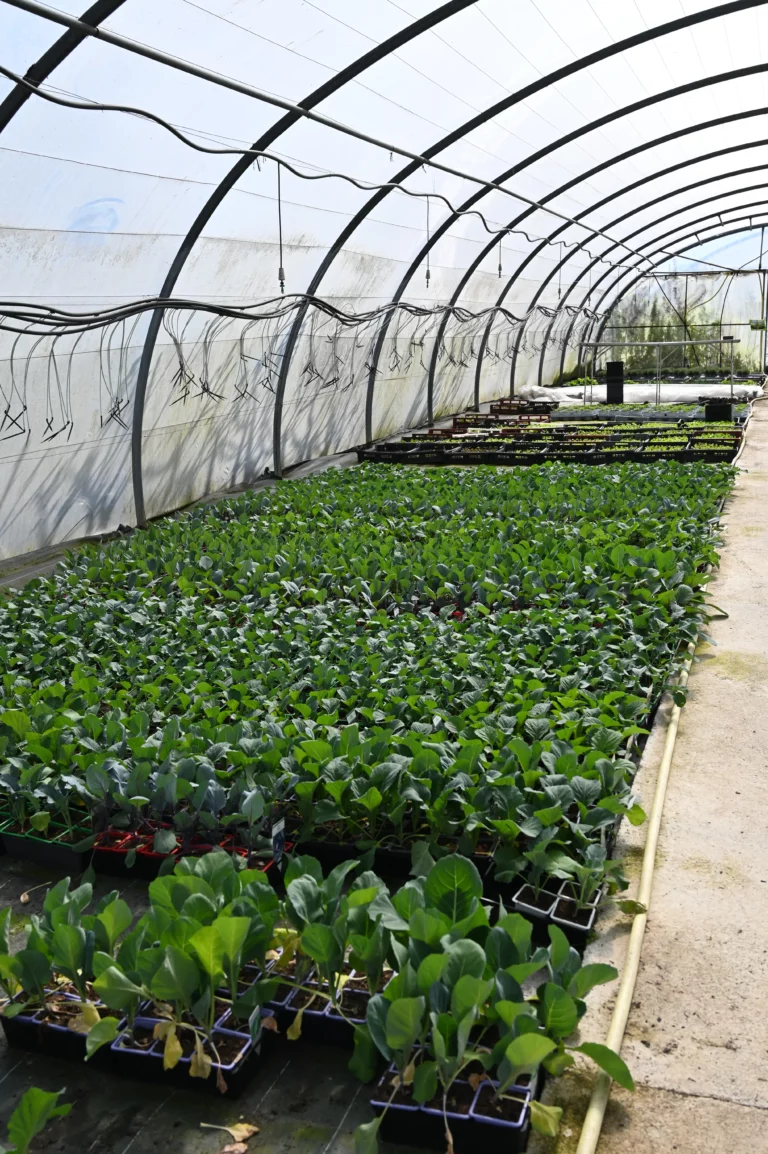 la grange fleurie la coquille horticulteur 31 768x1154