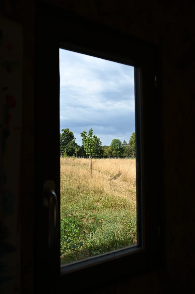 lucile pigeon association au pres de mon art 8 768x1154