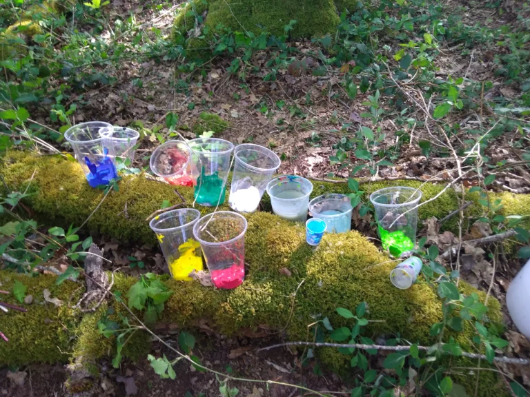 lucile pigeon association au pres de mon art therapie 1 1 768x576