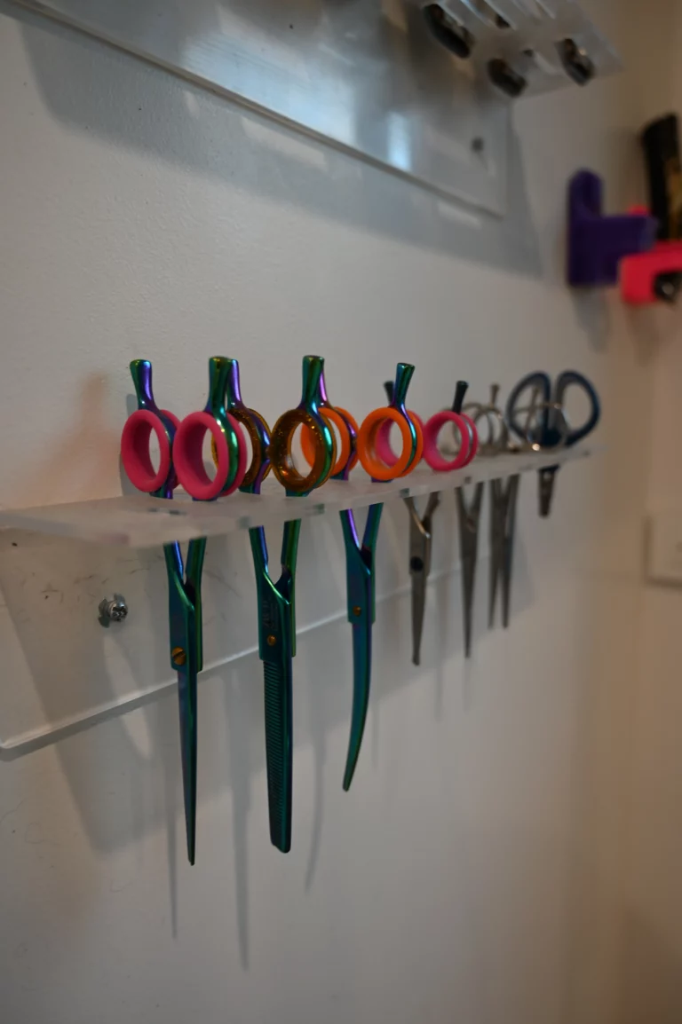 BIGGOUDY CHIEN KONISKA SAMATHA thivier 11 768x1154