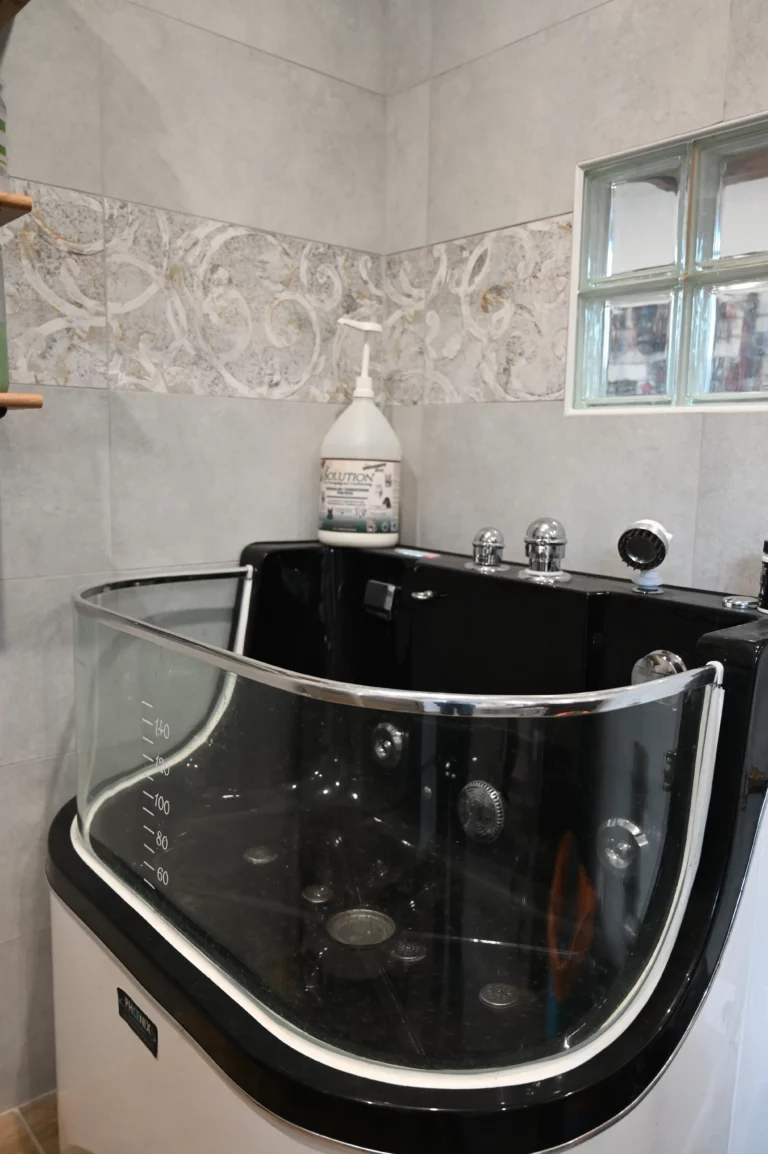 BIGGOUDY CHIEN KONISKA SAMATHA thivier 12 768x1154