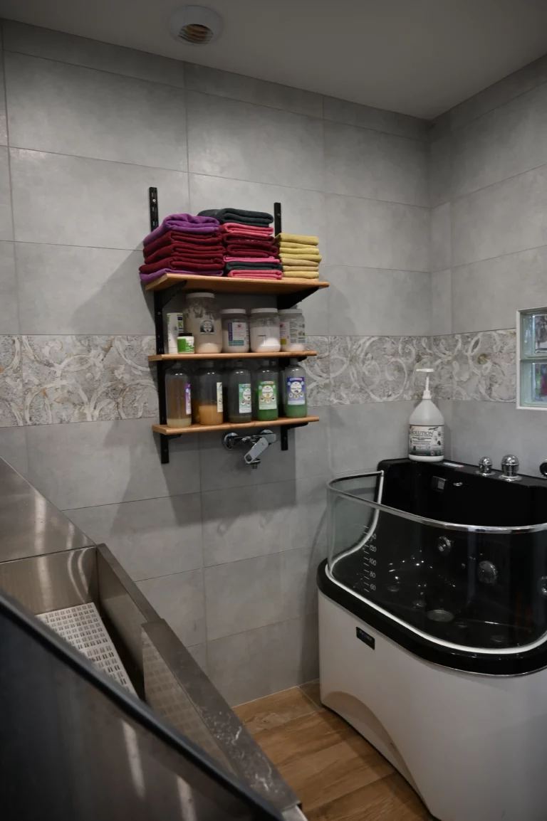 BIGGOUDY CHIEN KONISKA SAMATHA thivier 14 768x1154