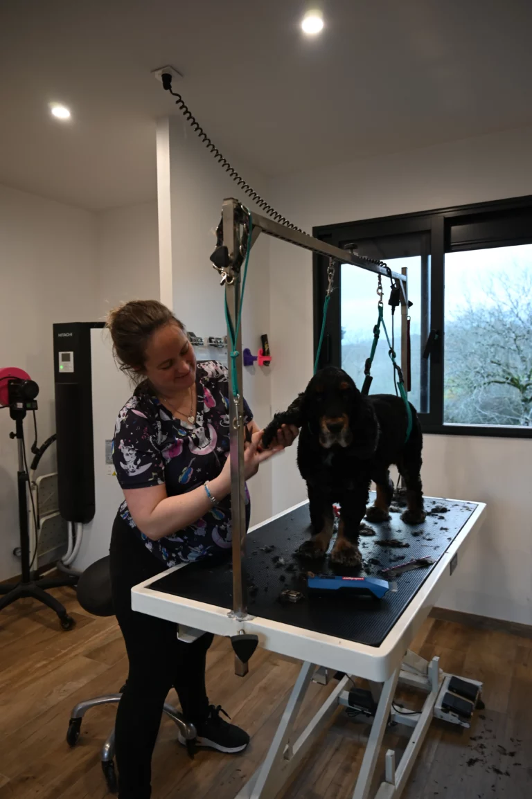 BIGGOUDY CHIEN KONISKA SAMATHA thivier 16 768x1154