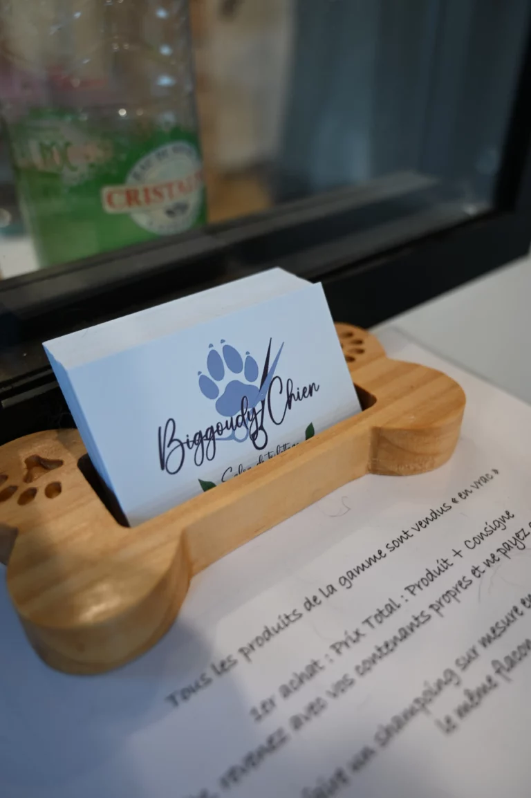 BIGGOUDY CHIEN KONISKA SAMATHA thivier 20 768x1154