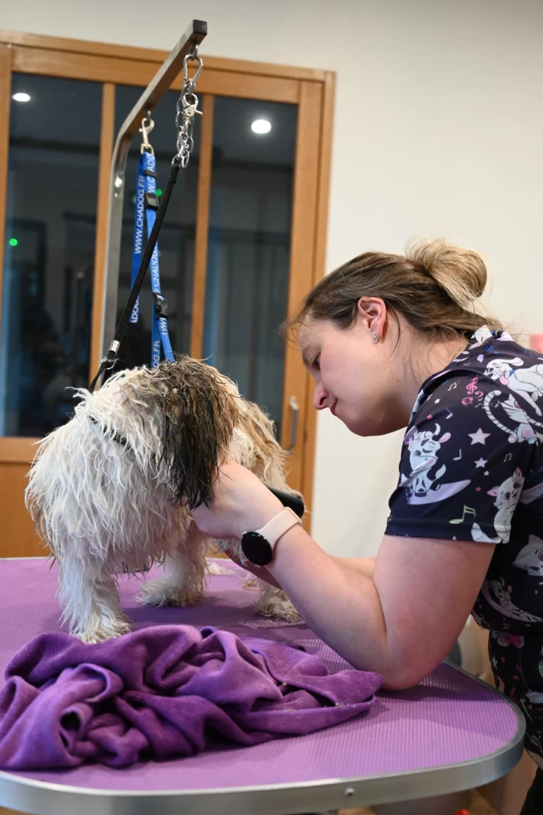 BIGGOUDY CHIEN KONISKA SAMATHA thivier 23 768x1154