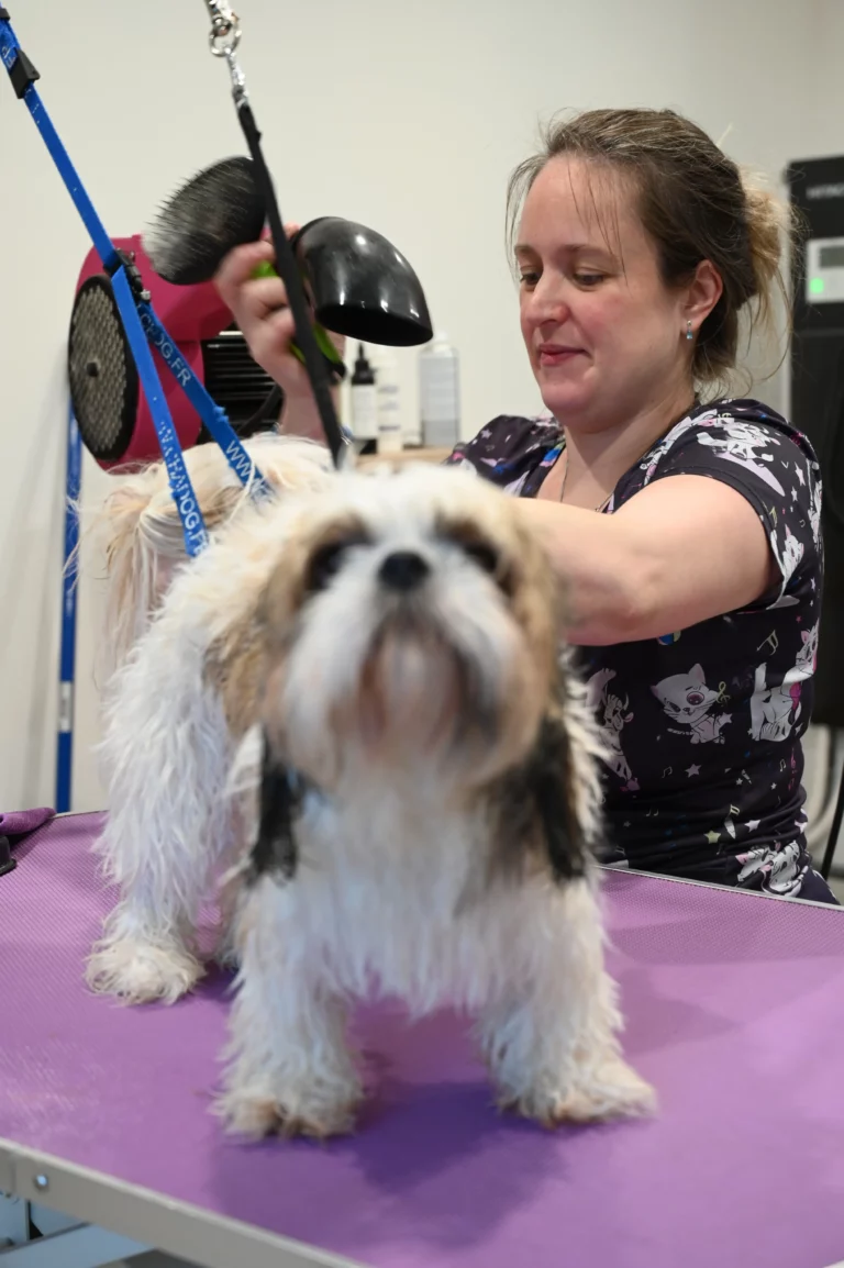 BIGGOUDY CHIEN KONISKA SAMATHA thivier 25 768x1154