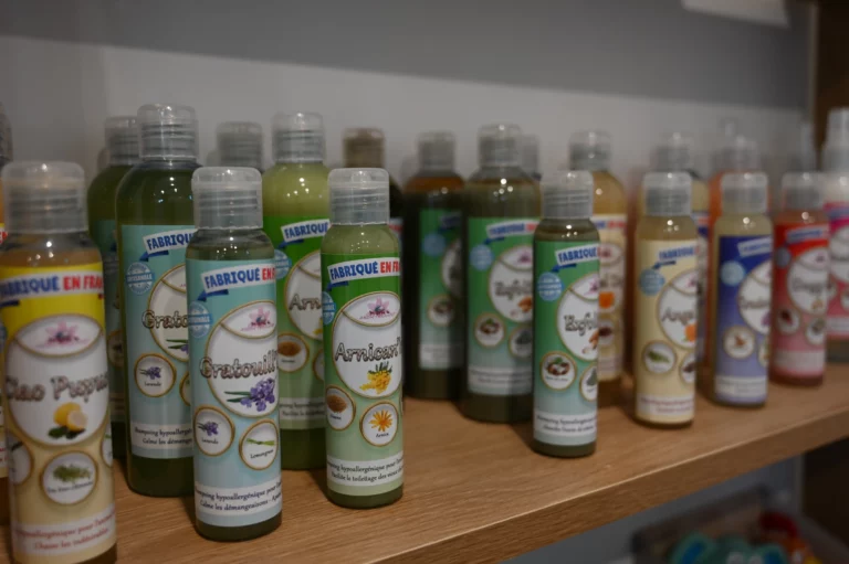 BIGGOUDY CHIEN KONISKA SAMATHA thivier 4 768x511