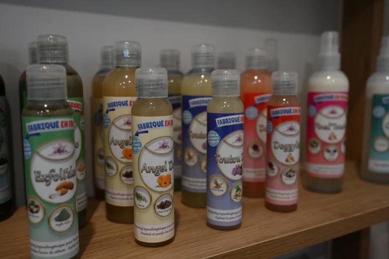 BIGGOUDY CHIEN KONISKA SAMATHA thivier 5 768x511