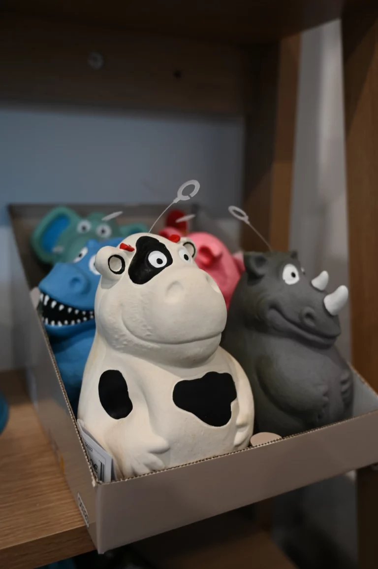 BIGGOUDY CHIEN KONISKA SAMATHA thivier 6 768x1154