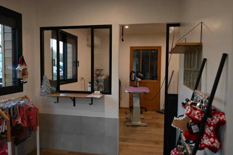 BIGGOUDY CHIEN KONISKA SAMATHA thivier 9 768x511