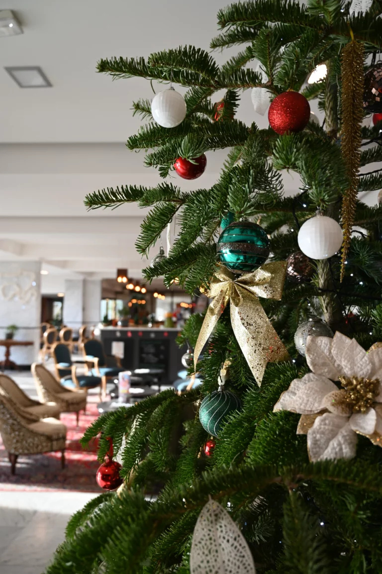 La Terrasse Restaurant ibis hotel perigueux noel 2 768x1154