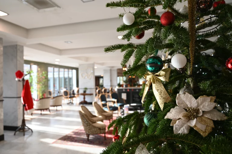 La Terrasse Restaurant ibis hotel perigueux noel 3 768x511