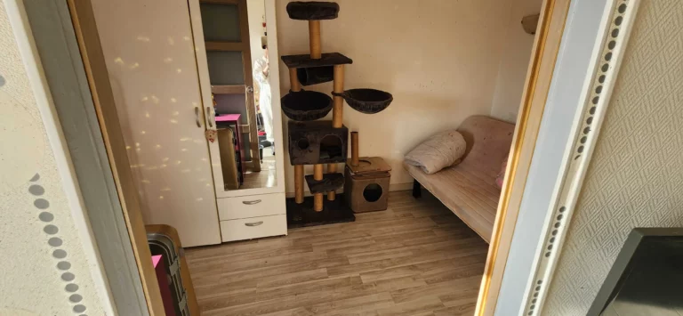 ProClean 360 remise etat  lourde maison 3 768x355