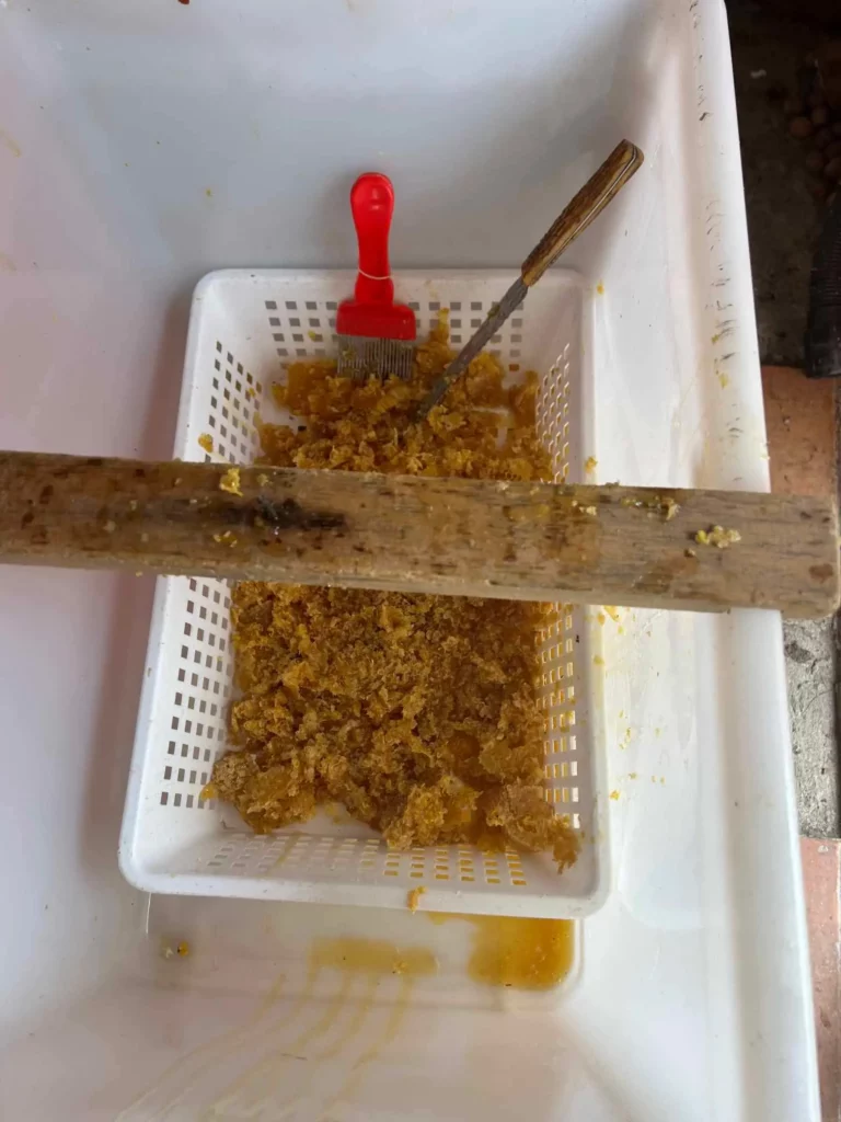 Service FreddY miel 1 768x1024