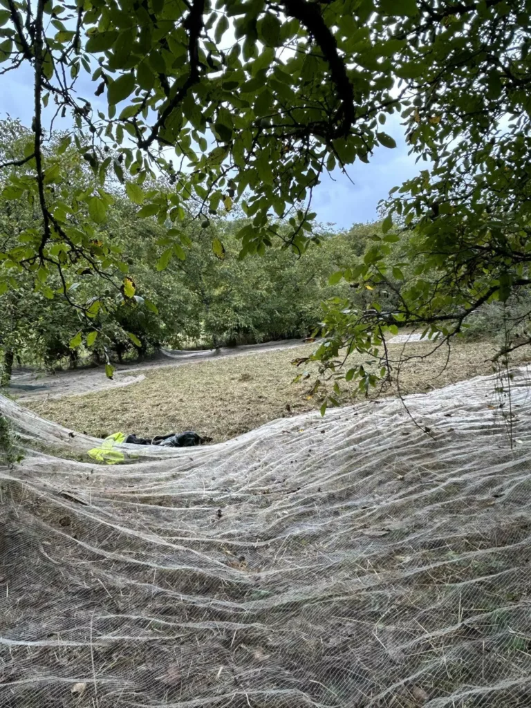 Service FreddY noix 1 768x1024