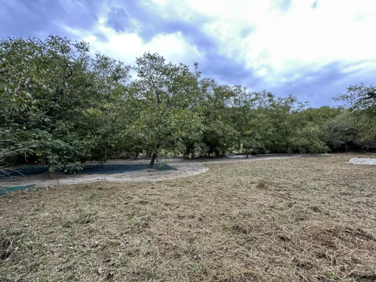 Service FreddY noix 2 768x576