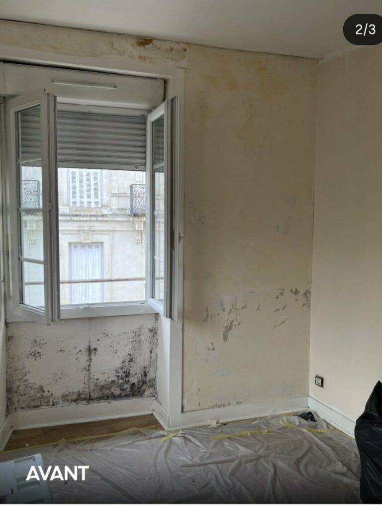 Messenger creation 2F2336D5 DA99 4694 B87F 4BAC31D52394 768x1014