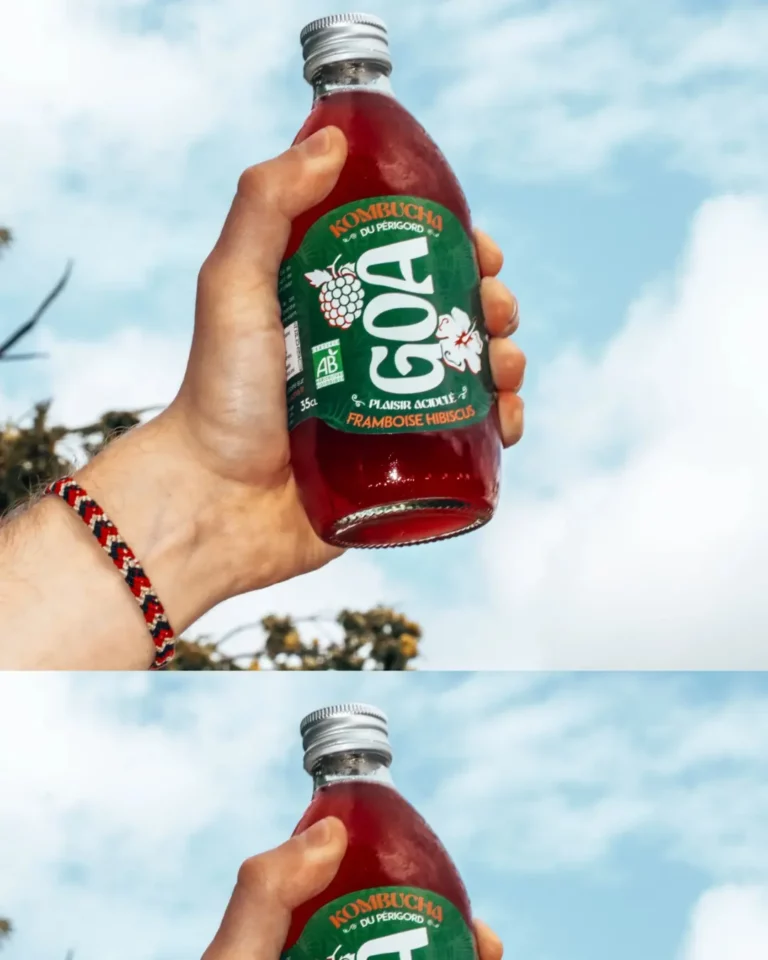 GOA Kombucha Couverture leperigourdin 768x960