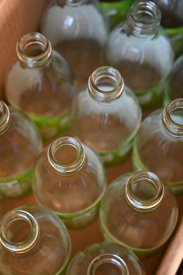 GOA Kombucha dordogne 1 768x1154