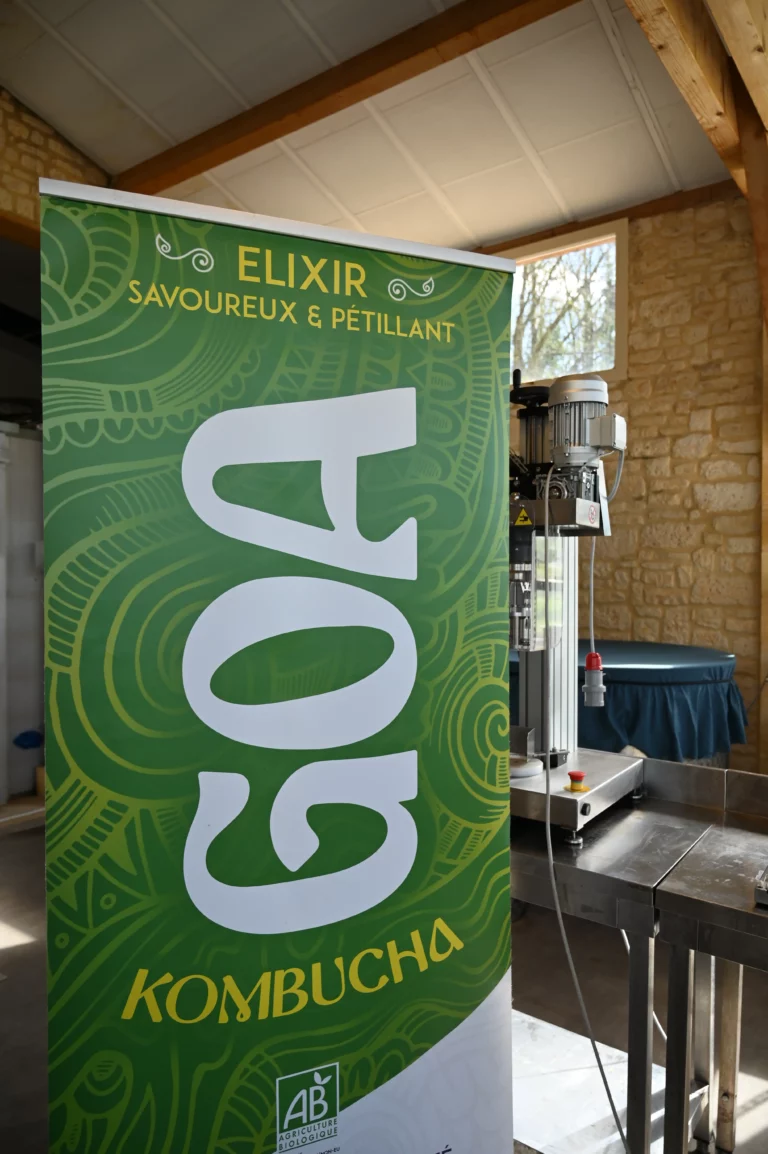 GOA Kombucha dordogne 12 768x1154