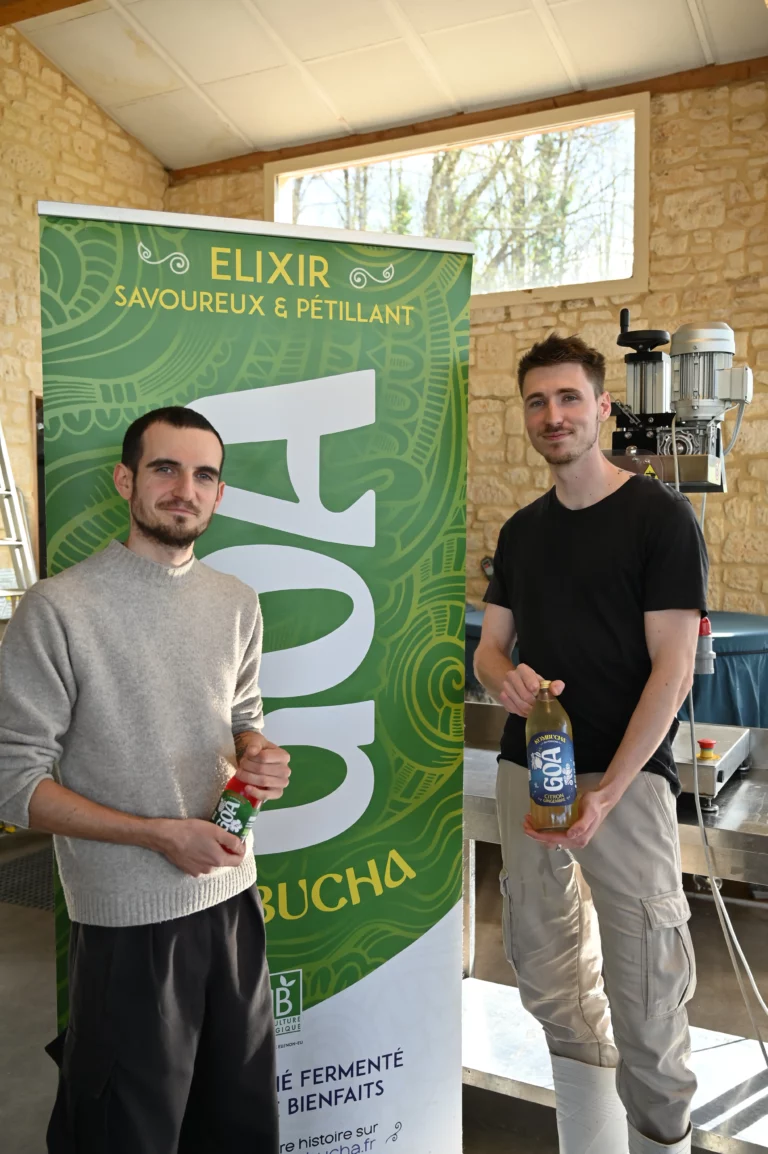 GOA Kombucha dordogne 13 768x1154