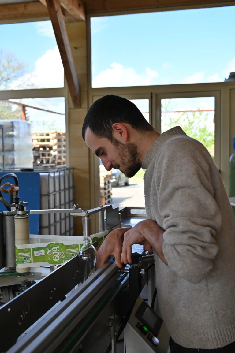 GOA Kombucha dordogne 14 768x1154