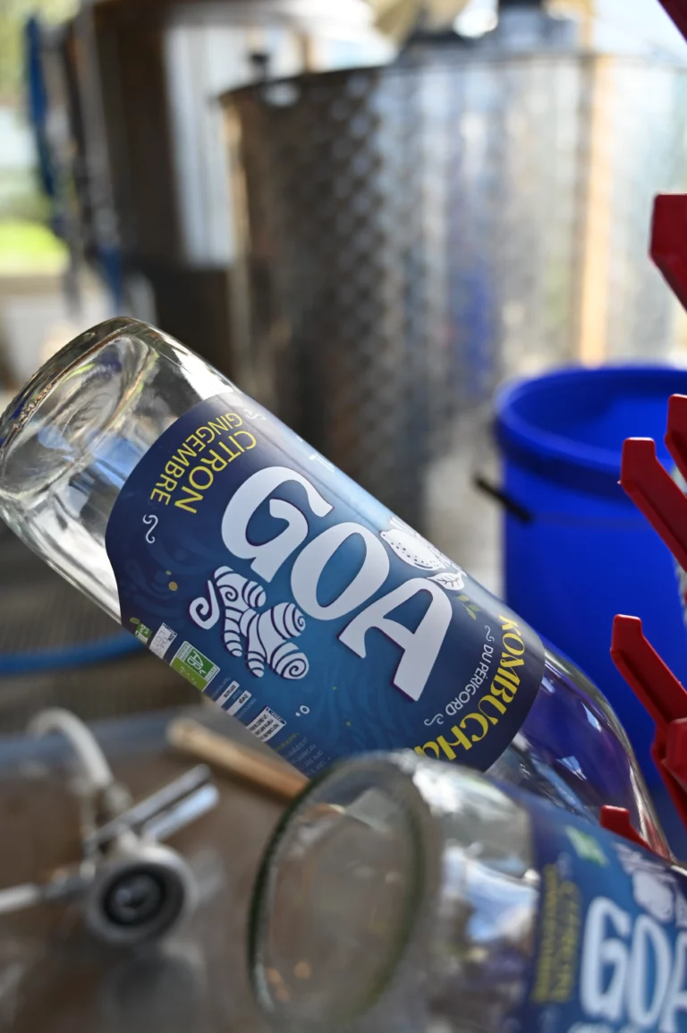 GOA Kombucha dordogne 8 768x1154