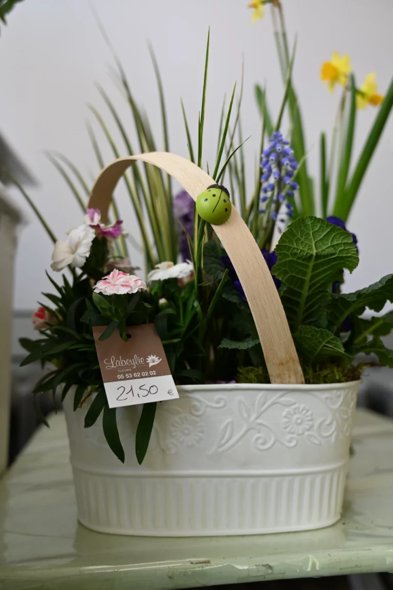 LabeylieFleurs printemps2026 10 768x1154