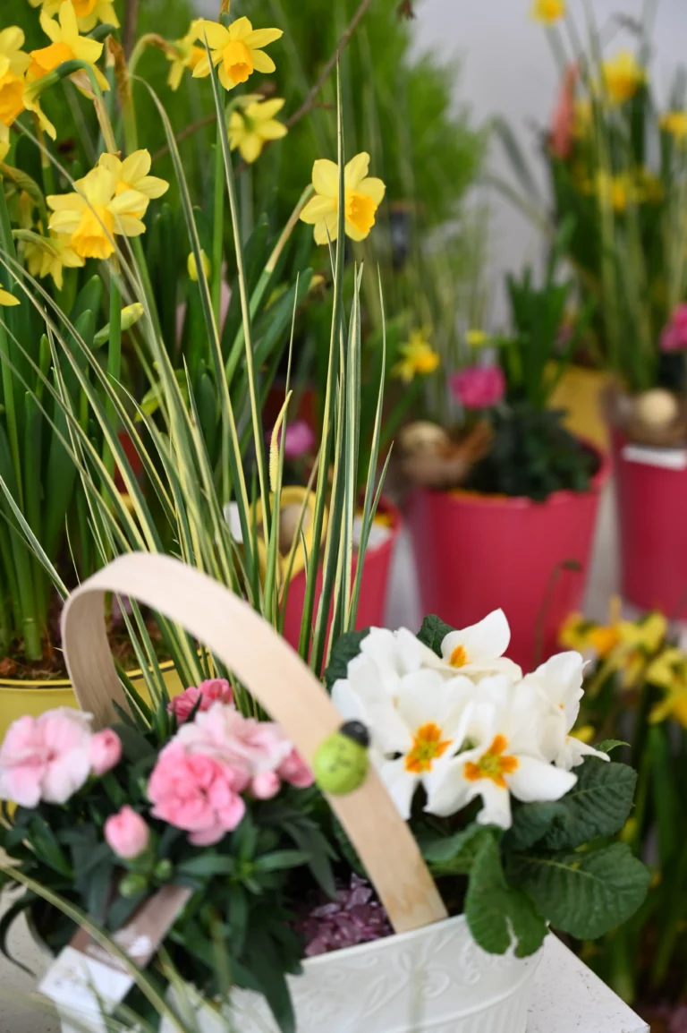 LabeylieFleurs printemps2026 11 768x1154