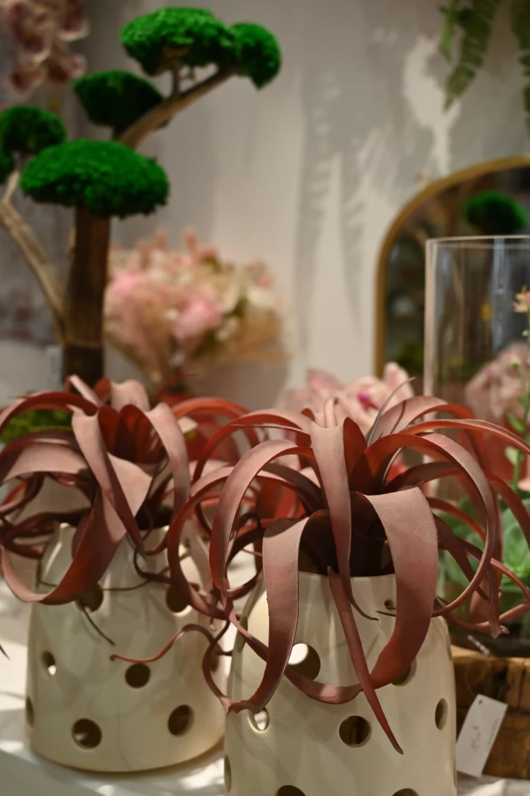 LabeylieFleurs printemps2026 5 768x1154