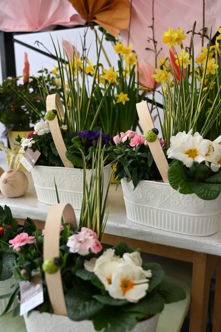 LabeylieFleurs printemps2026 a 768x1154