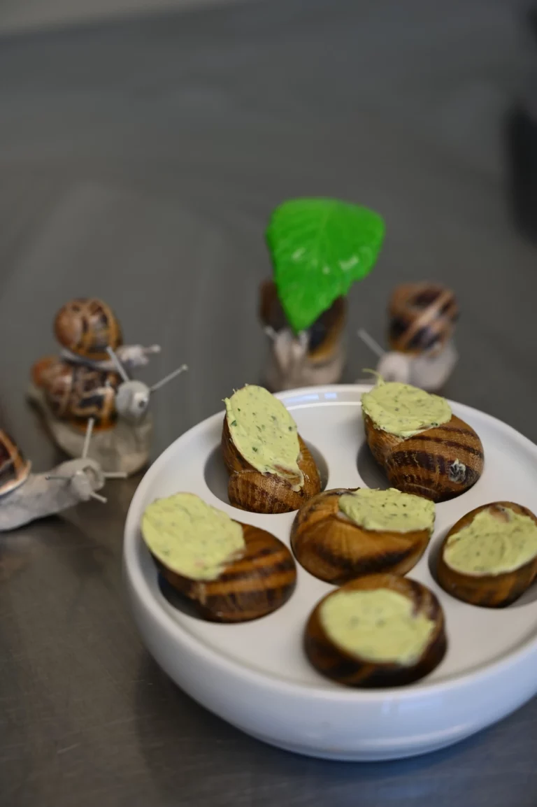 escargots du perigord 2026 6 768x1154